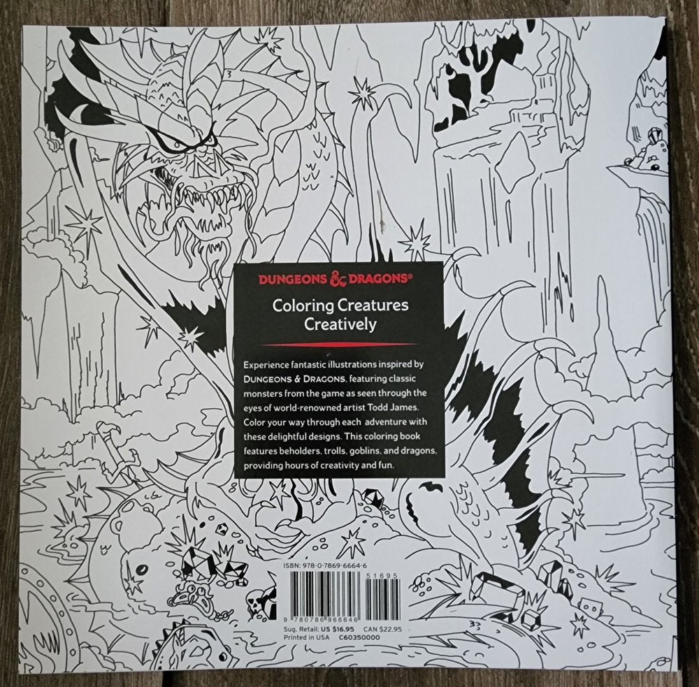 D&D Adventures Outlined Coloring Book (*See per order Flat rate Shipping)
