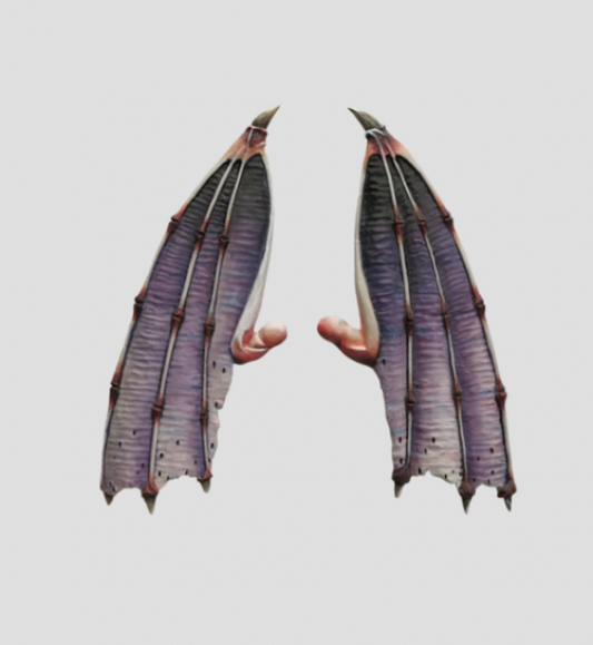 MaxMini Big Wings (3) (*See Per Order Flat Rate Shipping)